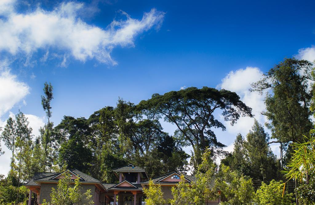 Kuniville Guest House Nyeri Exteriér fotografie